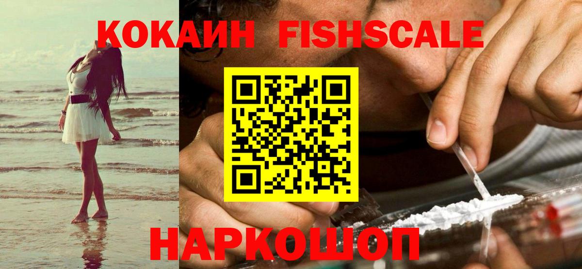 Cocaine Fish Scale  Вход с VPN  Тихорецк 