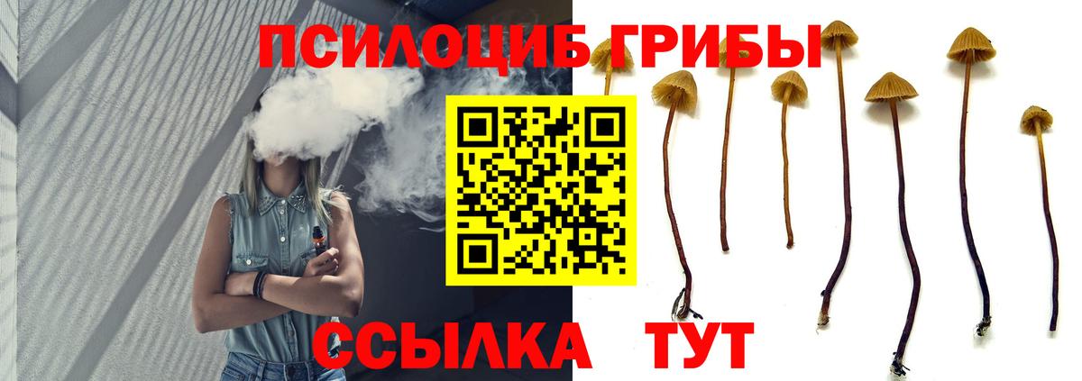 Галлюциногенные грибы мухоморы  Псилоцибиновые грибы Magic Shrooms  Вход с VPN  Тихорецк 